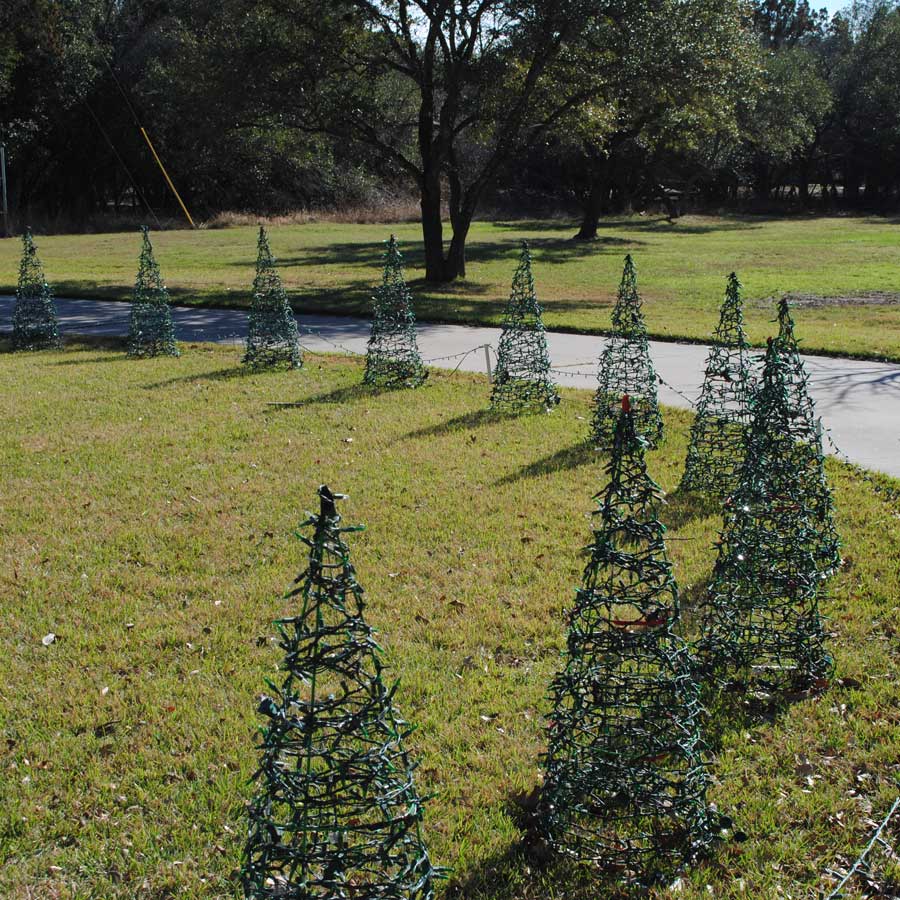 Small trees that circle the yard